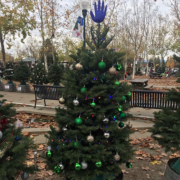 Windsor Town Green - Bells' Christmas Tree 